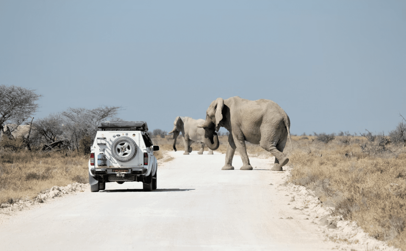 Tour Transport Services in Namibia